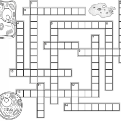 Cell crossword puzzle answer key